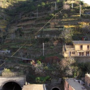 02_Vernazza (8)